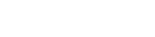 Partner 3